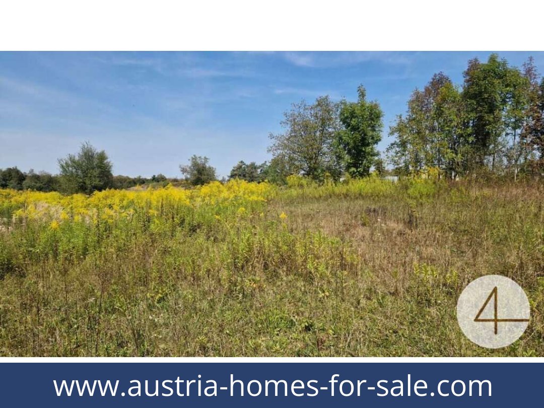 austria-homes-for-sale-wels-4600-20251201044804-0042301006.jpg