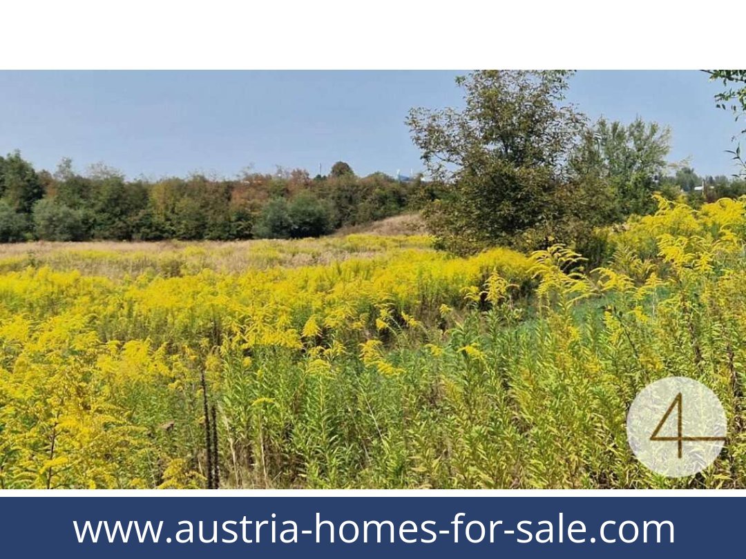 austria-homes-for-sale-wels-4600-20251201044804-0042301007.jpg