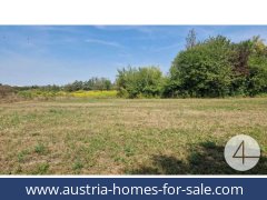 austria-homes-for-sale-wels-4600-20251201044804-0042301009_240.jpg