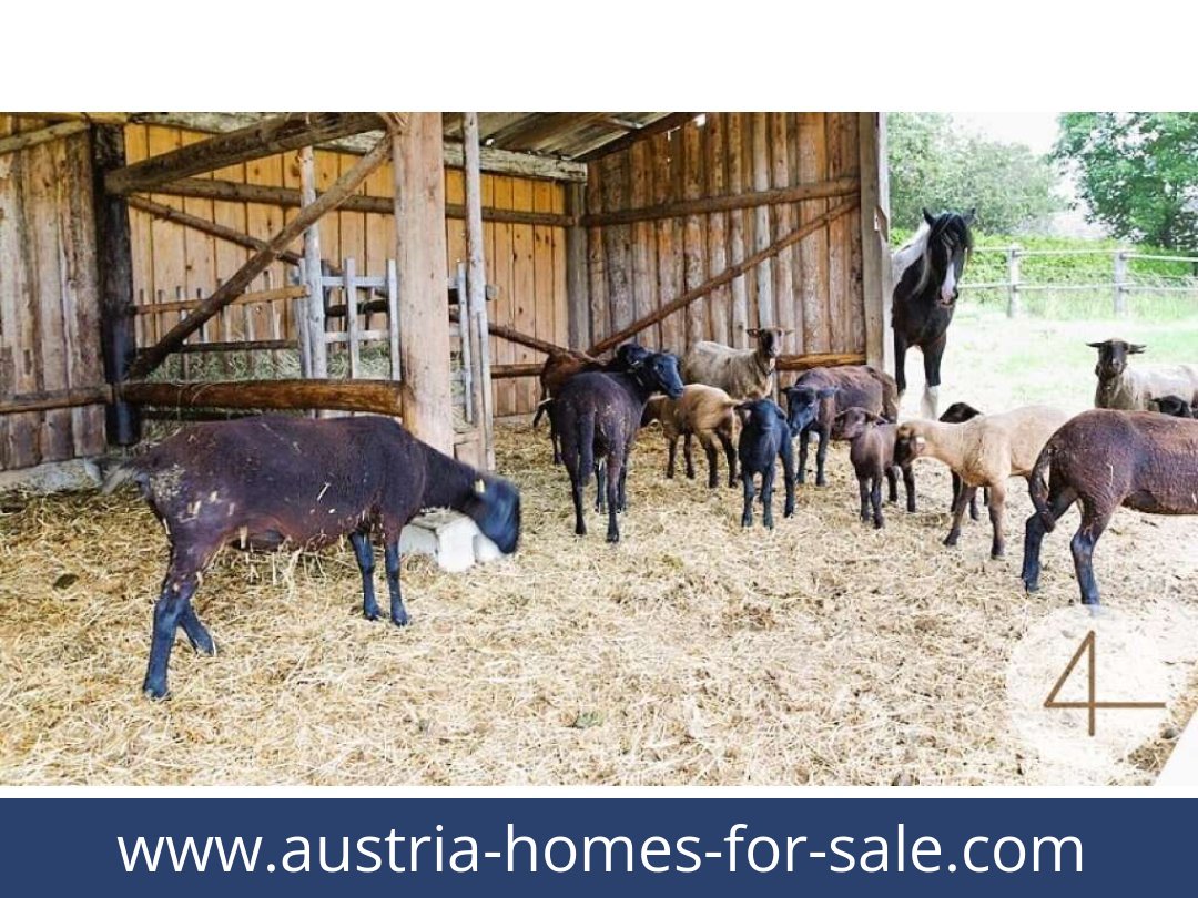 austria-homes-for-sale-windigsteig-3841-20261021084725-4f6fb8bb-0061301002.jpg