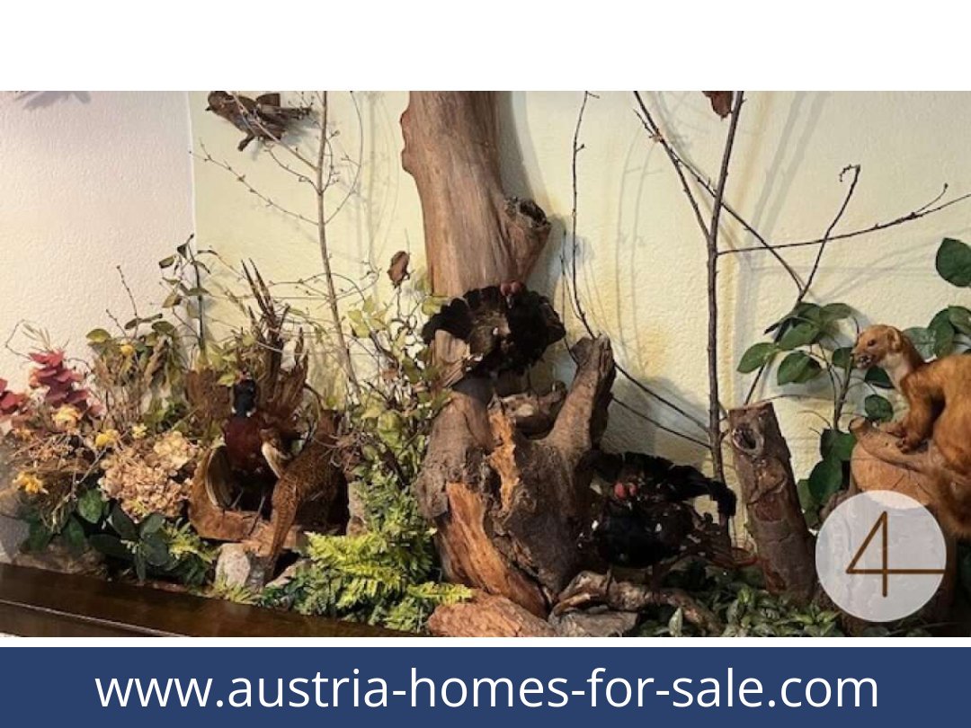 austria-homes-for-sale-ybbsitz-3341-20261021222410-eb608234-0021601022.jpg